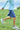 Run & Gun Shorts **Atlantic**