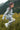 Windbreaker **Mountain Sound White**