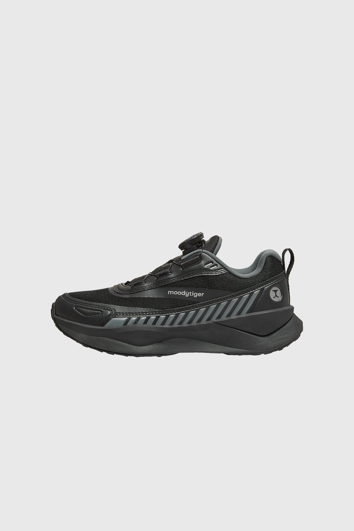 **Charcoal Black**