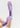 **Grape Gray Purple**