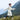 Convertible Down Jacket **Cloud Dancer**