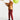 Neoprene Colour Blocking Pants **Cranberry**