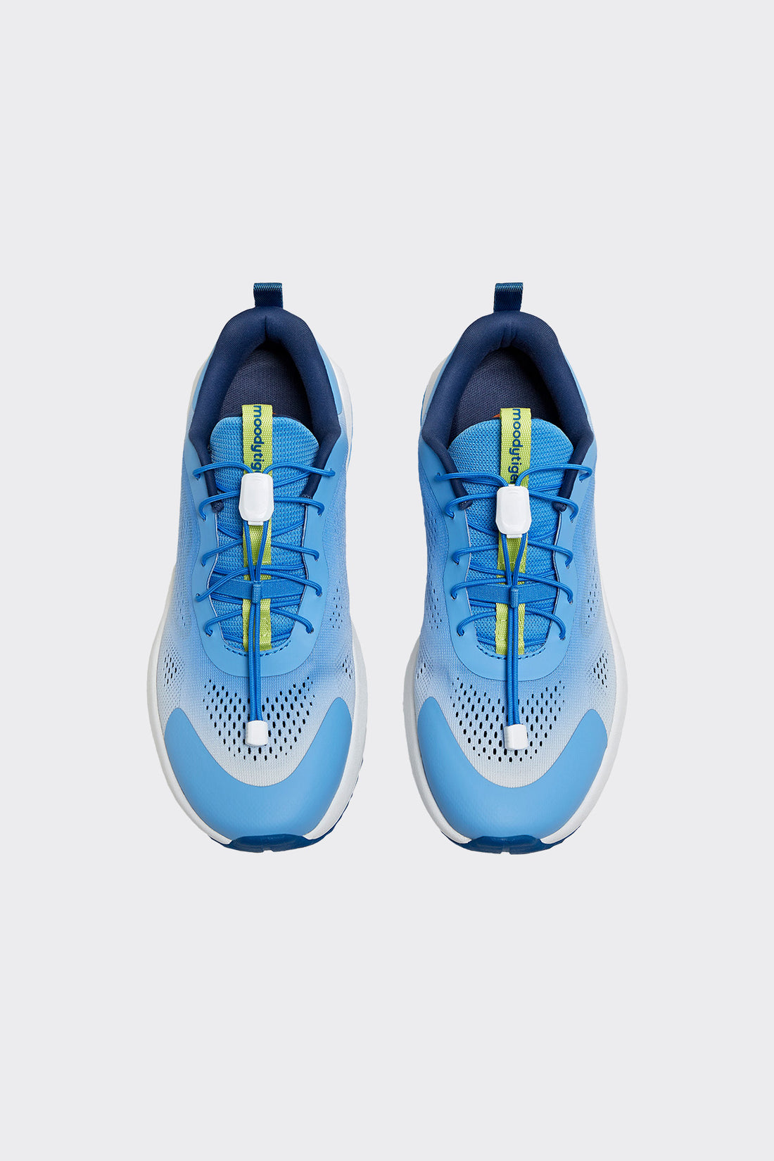 **Brisbane Blue**