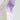 Sport Pullover **Bloom Romance Purple**