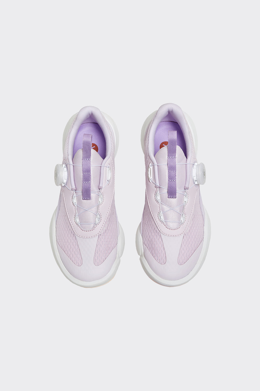 **Taro Purple**