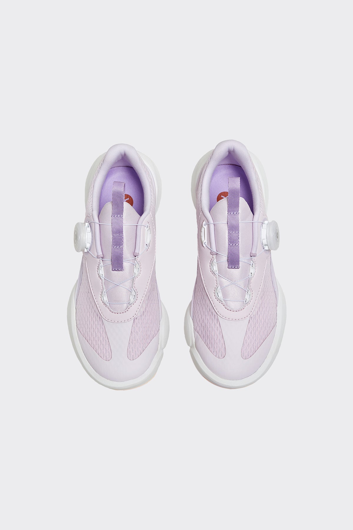 **Taro Purple**