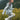 Windbreaker **Mountain Sound White**