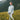 Windbreaker **Mountain Sound White**